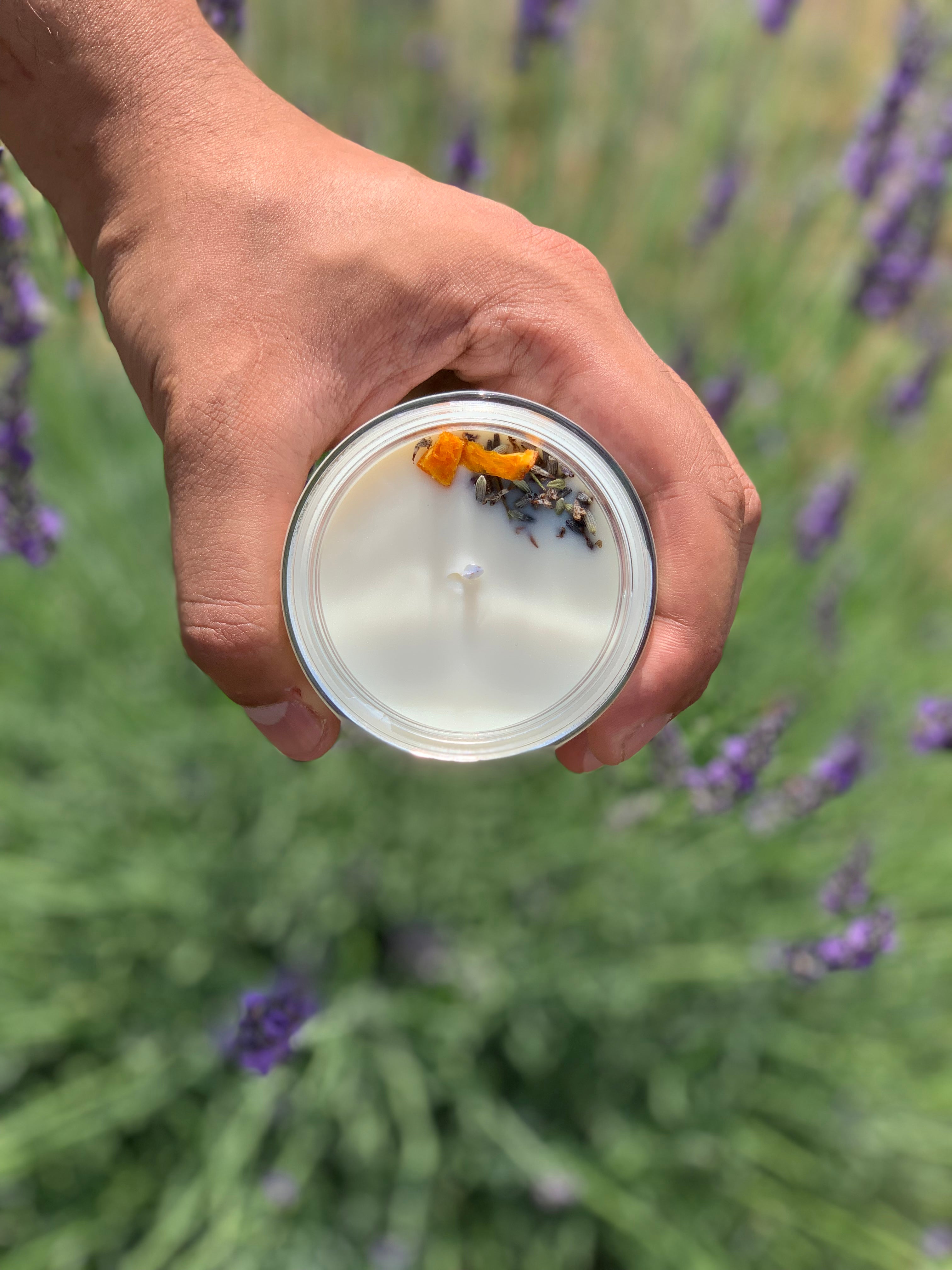 Visiting the Lavender Farm picture