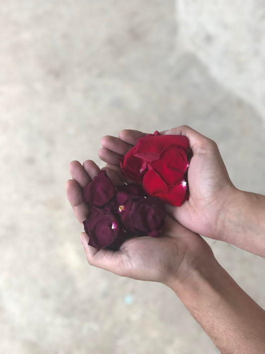 2025 Austin Sustainable Gift Guide