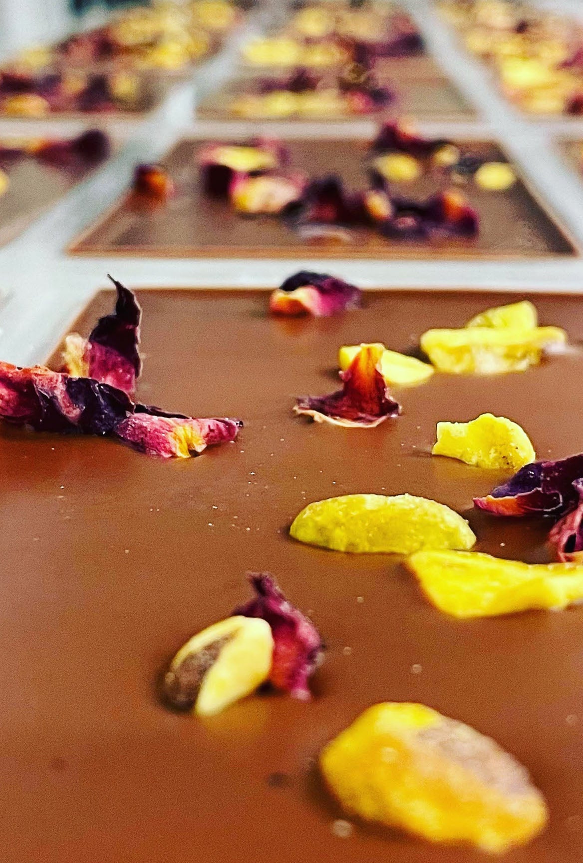 All Things Chocolate Workshop 10.21.23