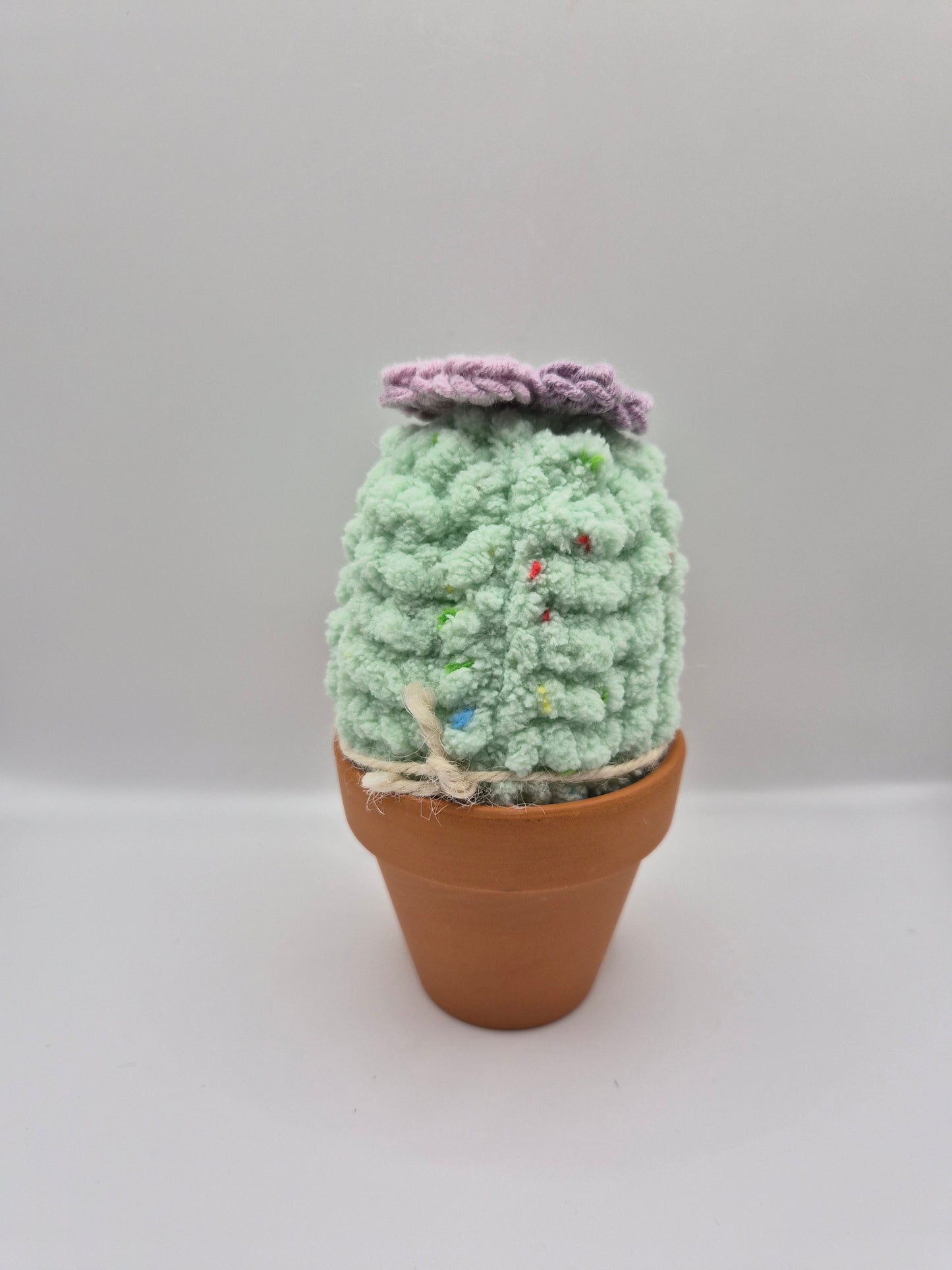 Karmigurumi Cactus