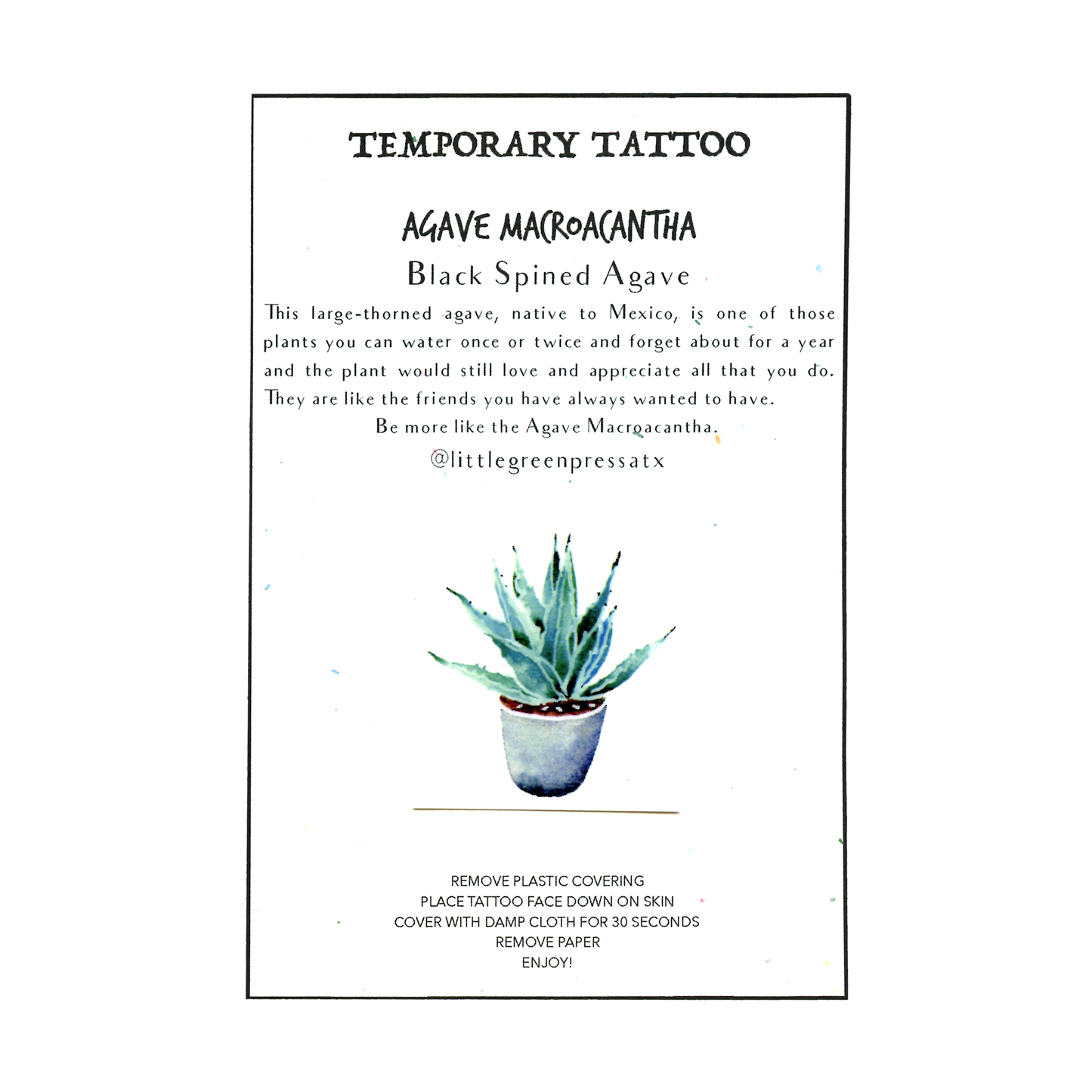 Little Green Press ATX Botanical Temporary Tattoos