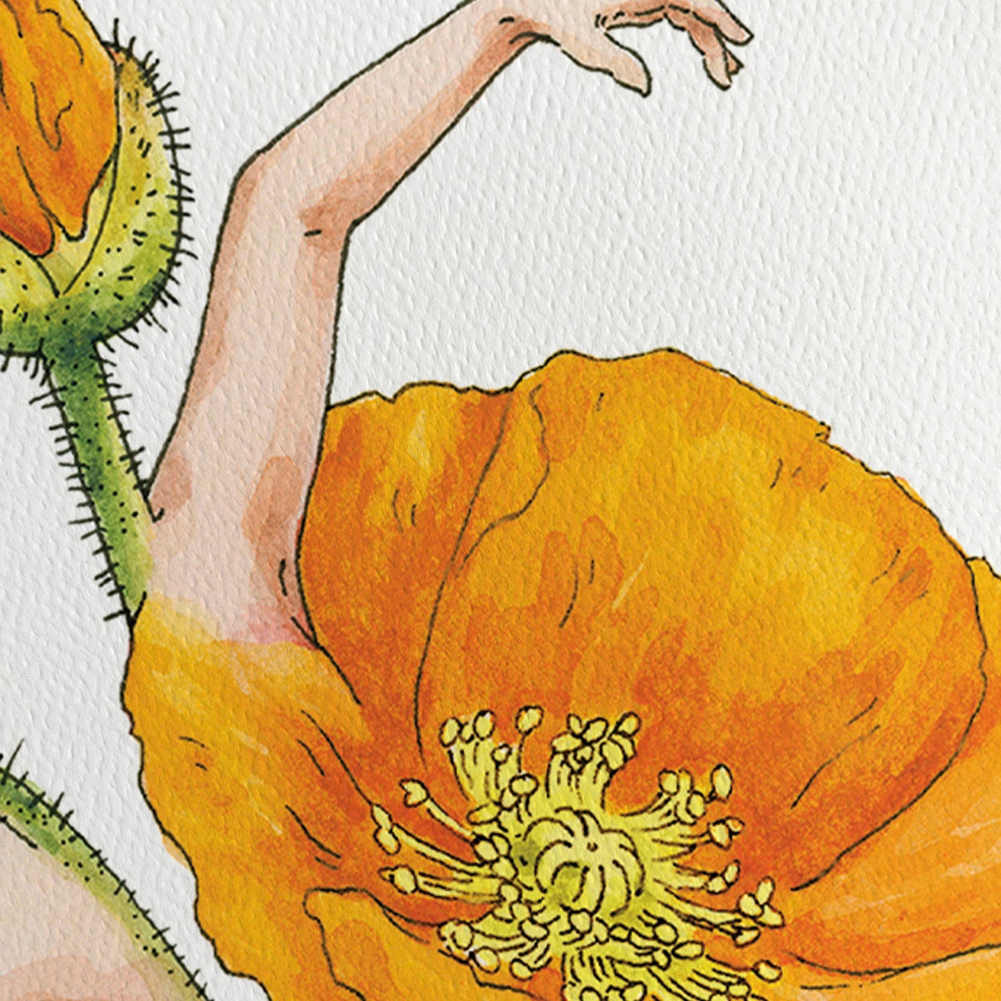 Maridad Studio California Poppy Print