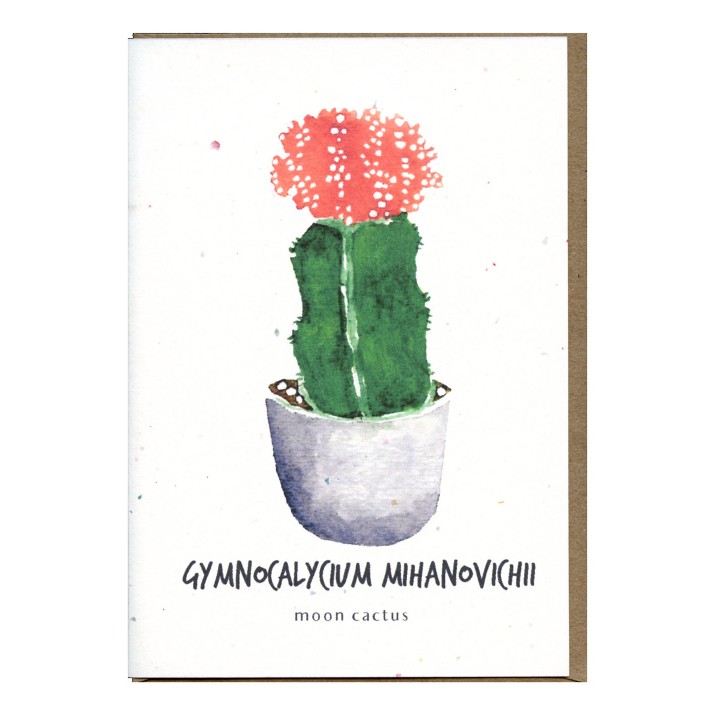 Little Green Press ATX Gymnocalycium Mihanovichii Botanical Card