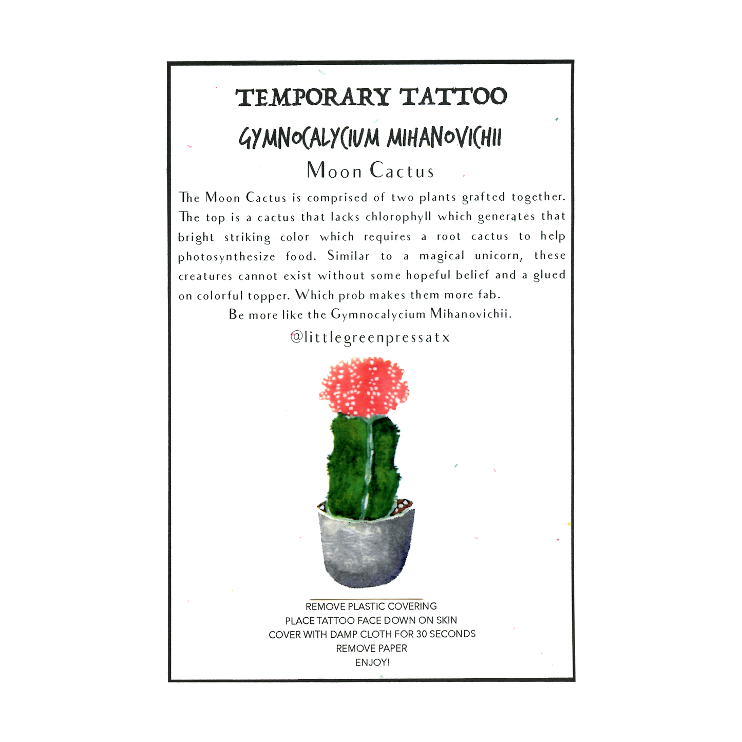 Little Green Press ATX Botanical Temporary Tattoos