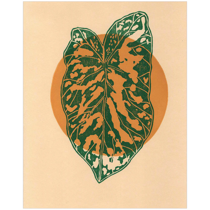 Little Green Press ATX Hilo Beauty Halo Jungle Prints