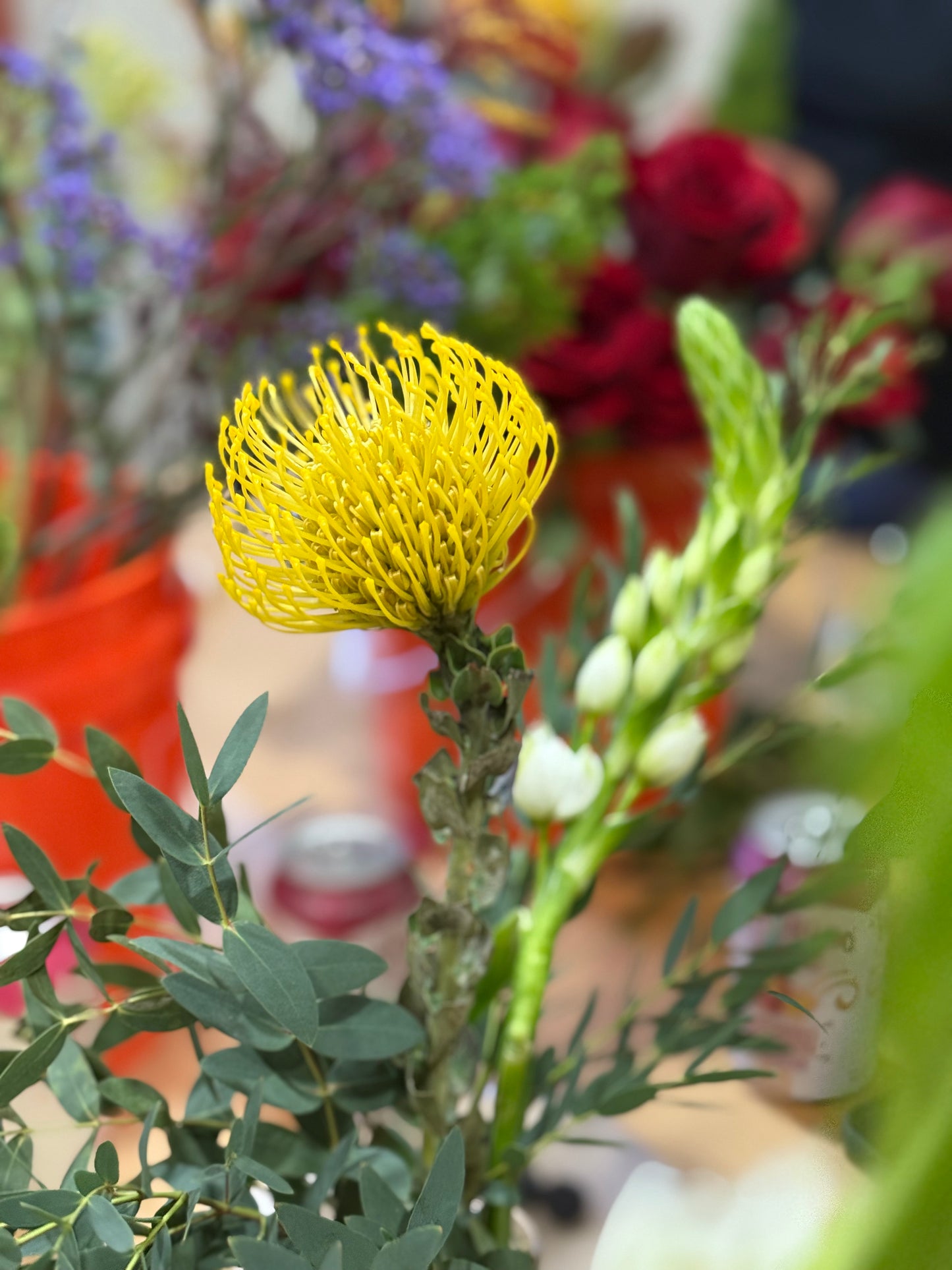 Winter Blooms Floral Arranging Workshop 12.12.26 12pm-2pm