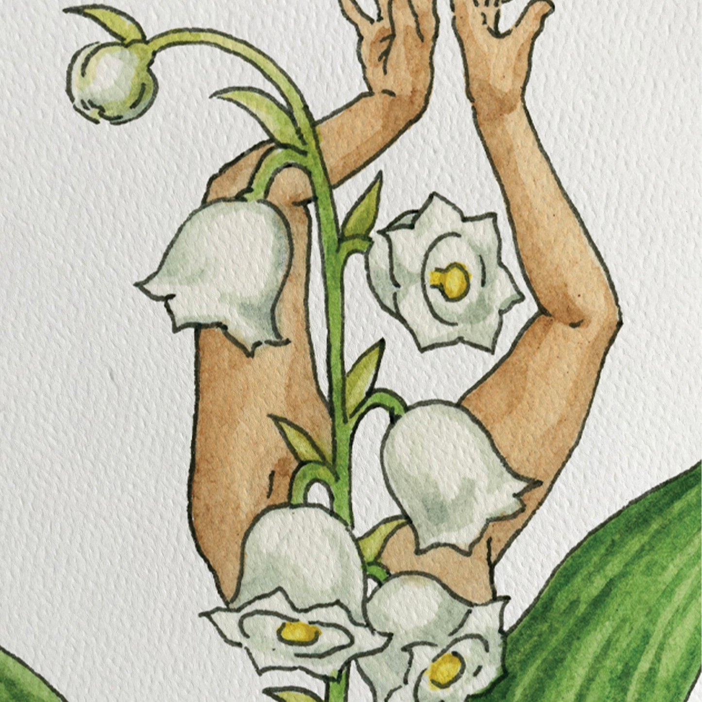 Maridad Lily of the Valley Print
