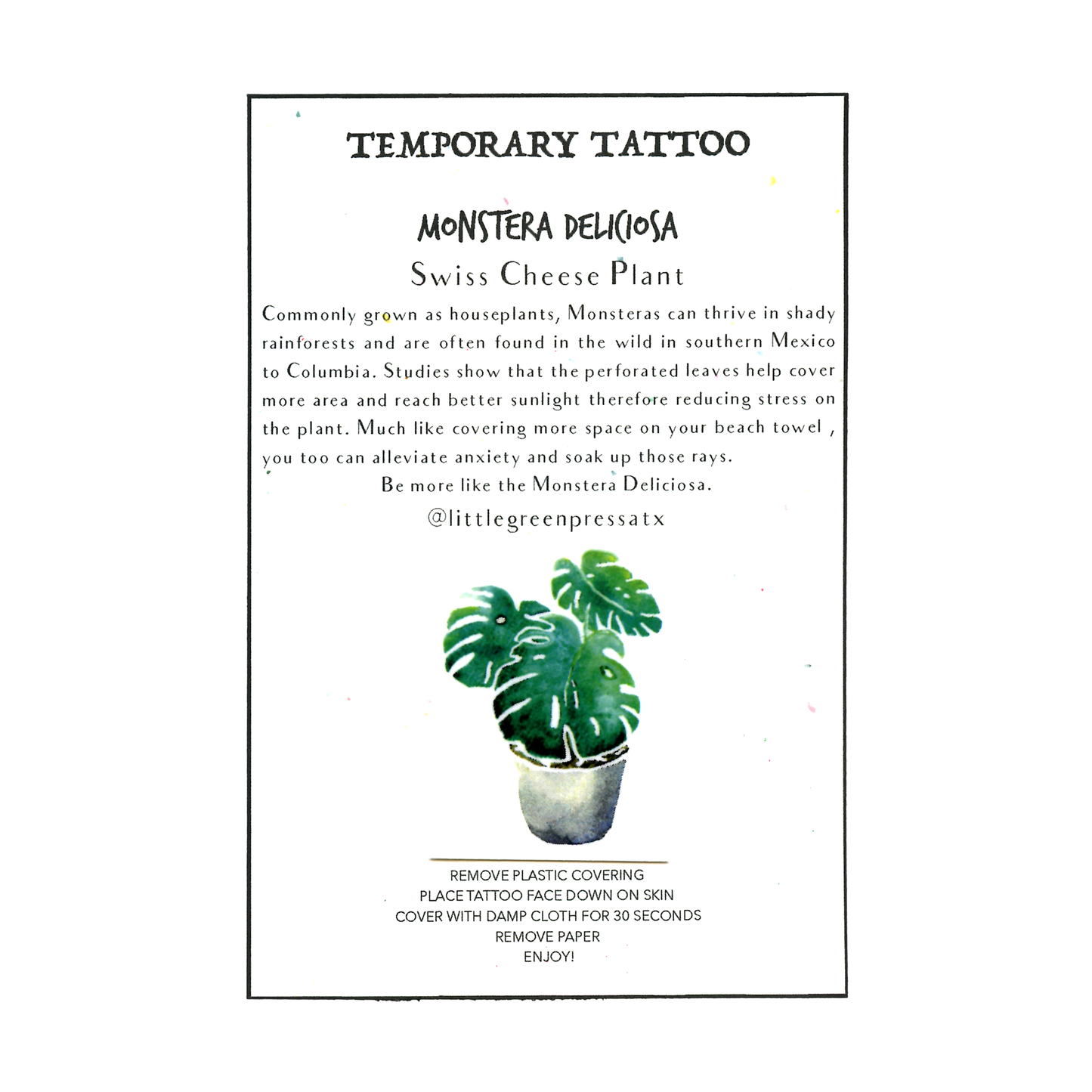 Little Green Press ATX Botanical Temporary Tattoos