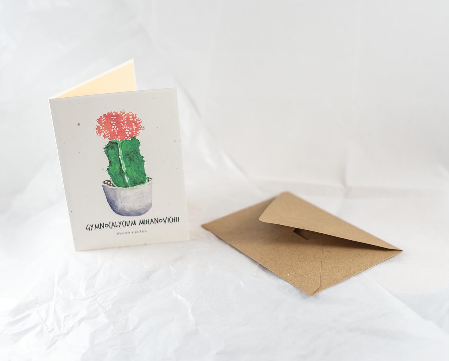 Little Green Press ATX Gymnocalycium Mihanovichii Botanical Card