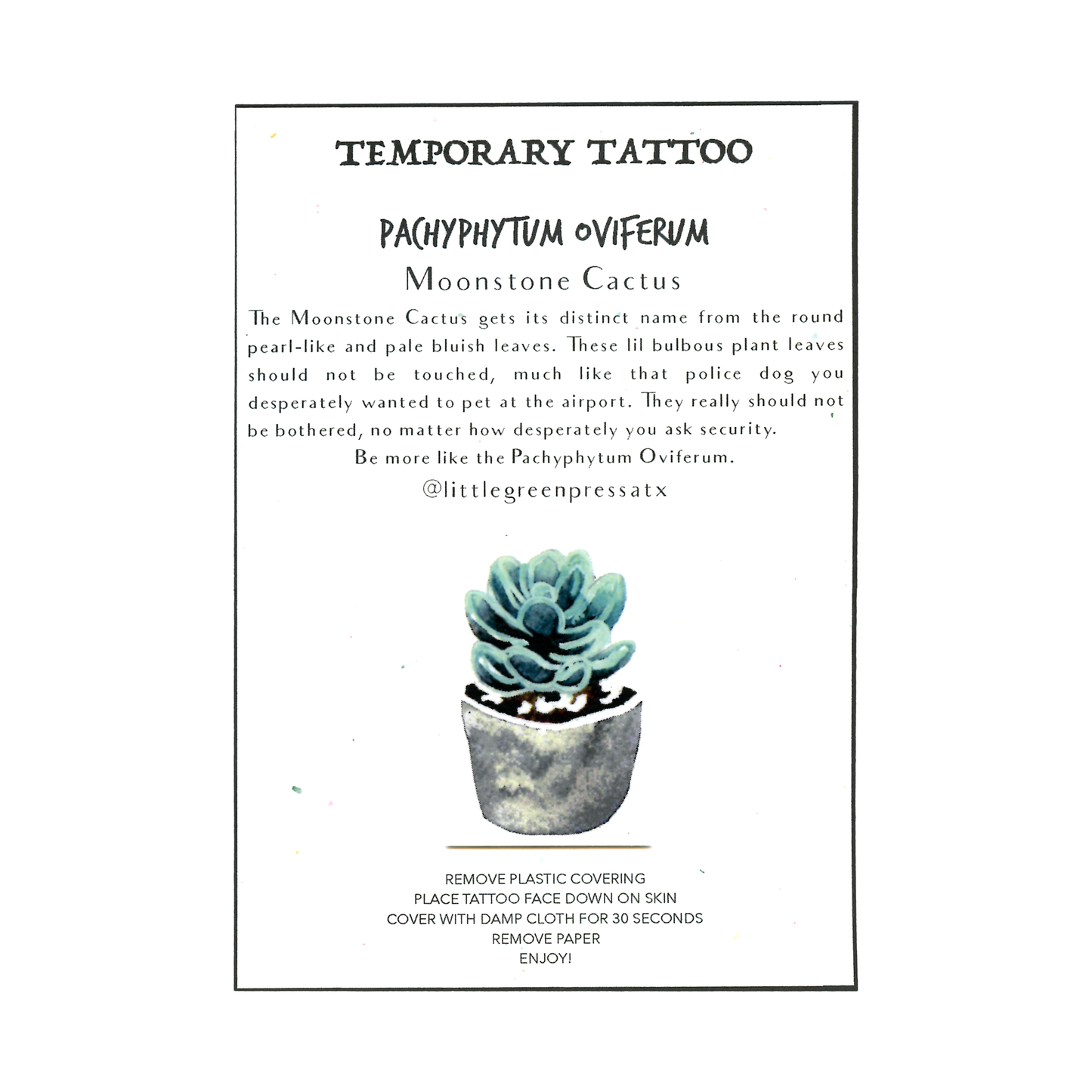 Little Green Press ATX Botanical Temporary Tattoos