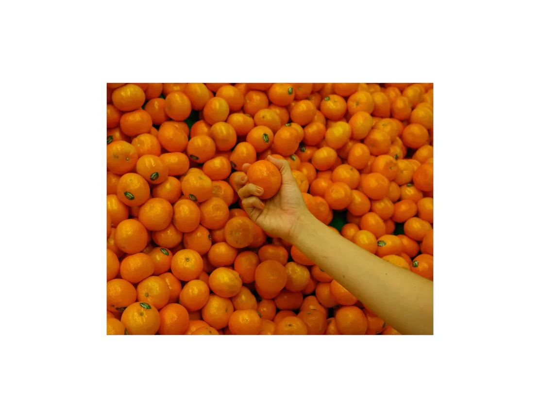 Yellow Cup Studios Oranges Print