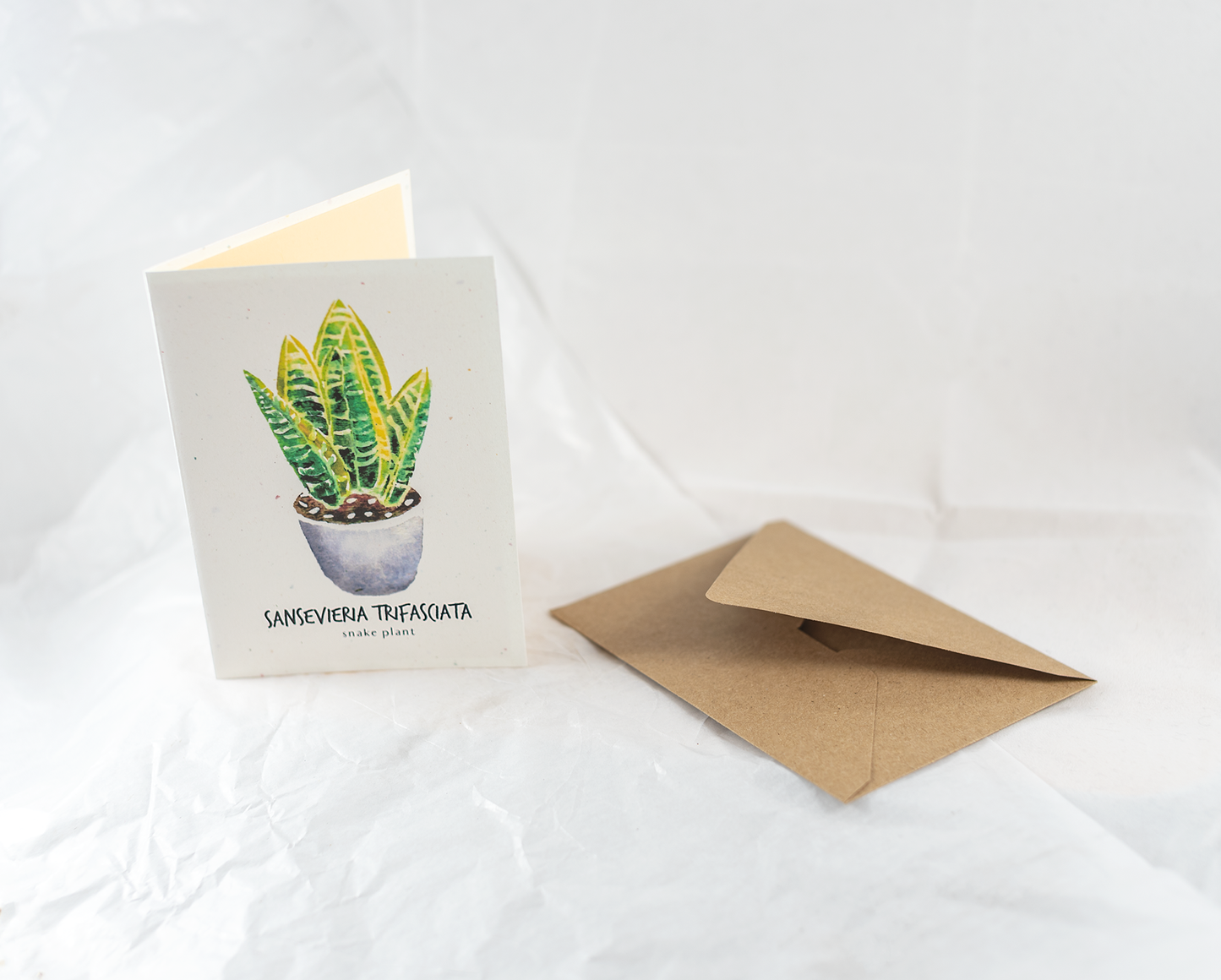 Little Green Press ATX Sansevieria Trifasciata Botanical Card