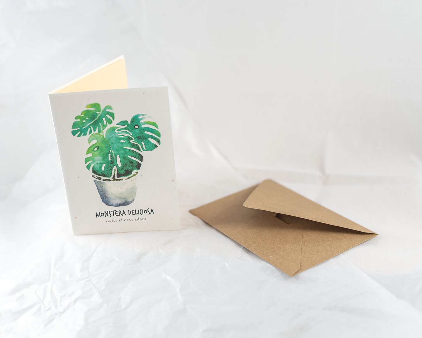 Little Green Press ATX Monstera Deliciosa Botanical Card