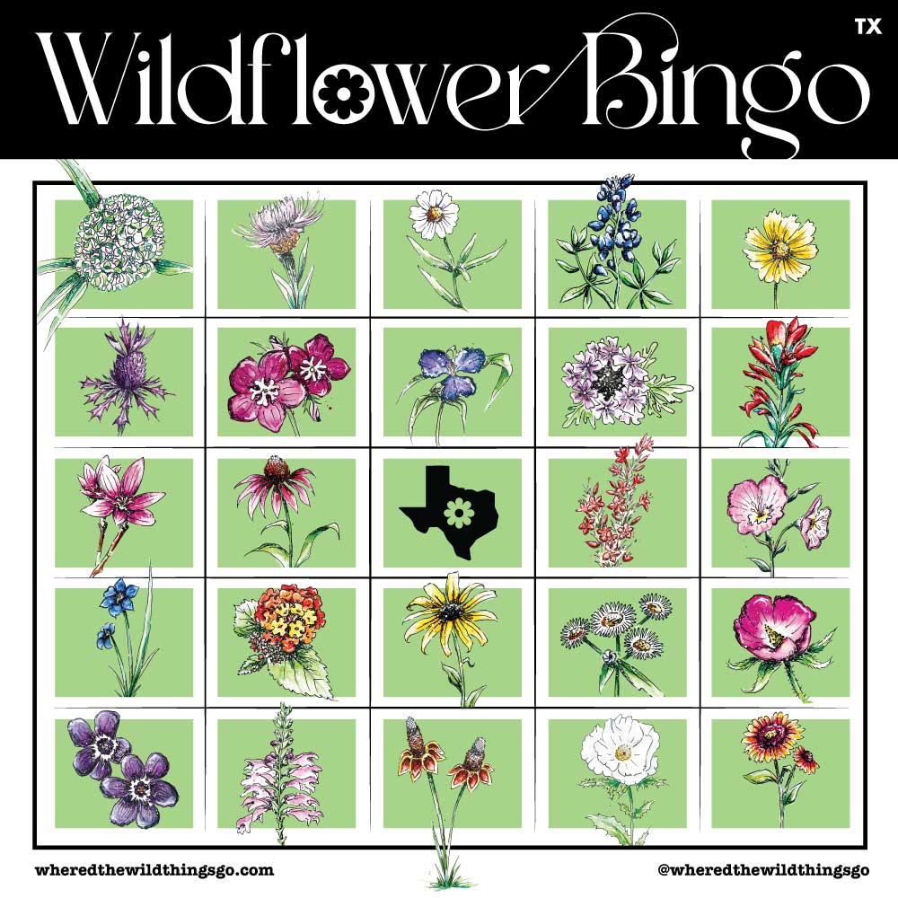 Where'd The Wild Things Go Wildflower Bingo Card