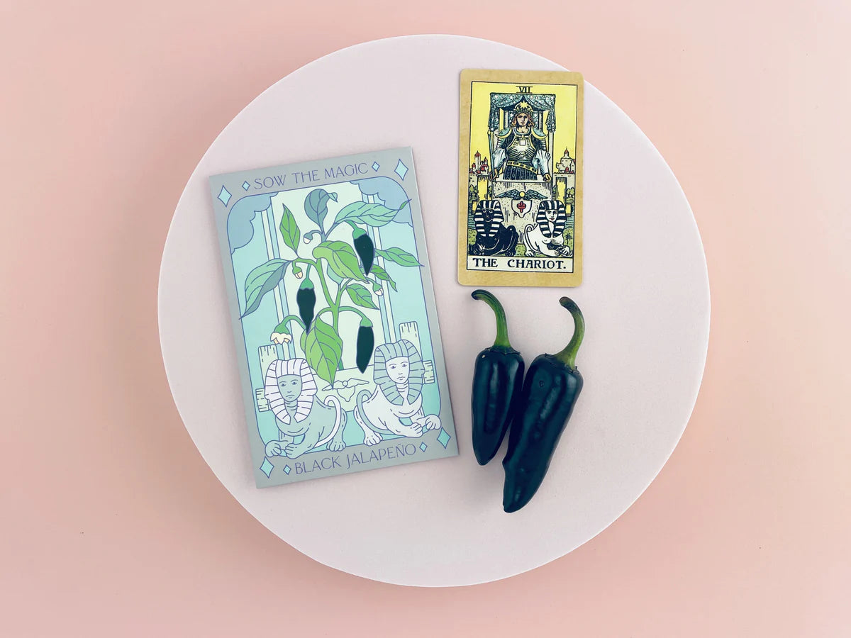 Sow the Magic Black Hungarian Jalapeno Tarot Seed Packet