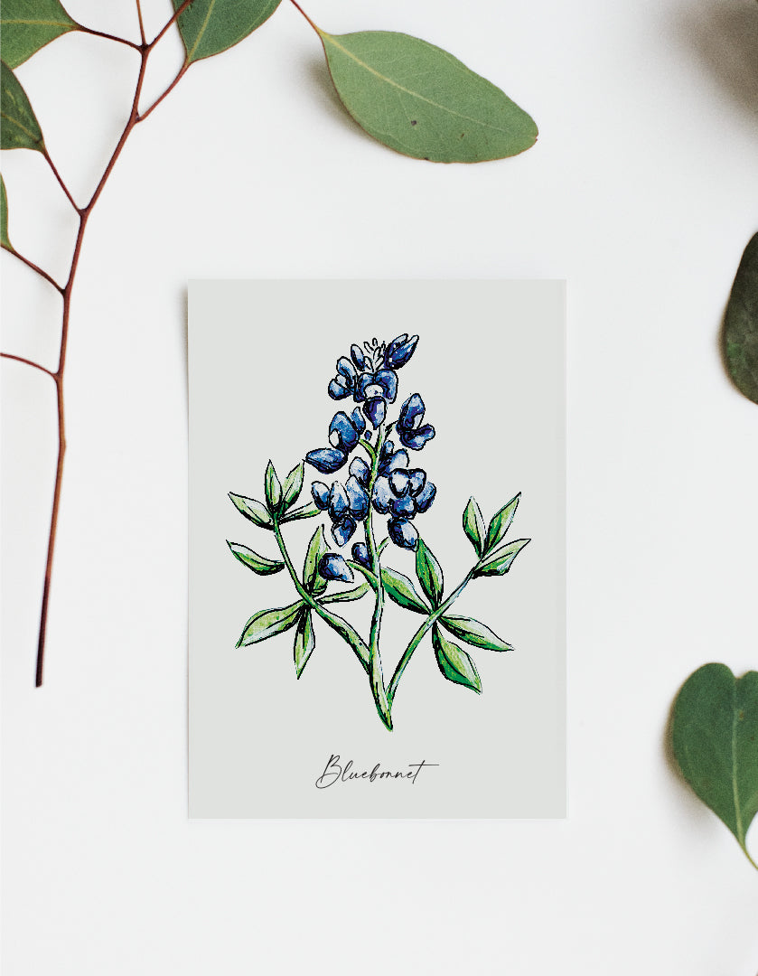 Where'd The Wild Things Go Bluebonnet Print