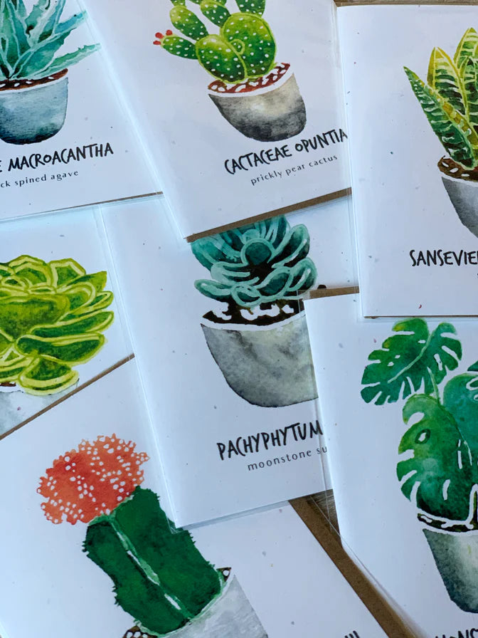 Little Green Press ATX Botanical Cards Set of 7