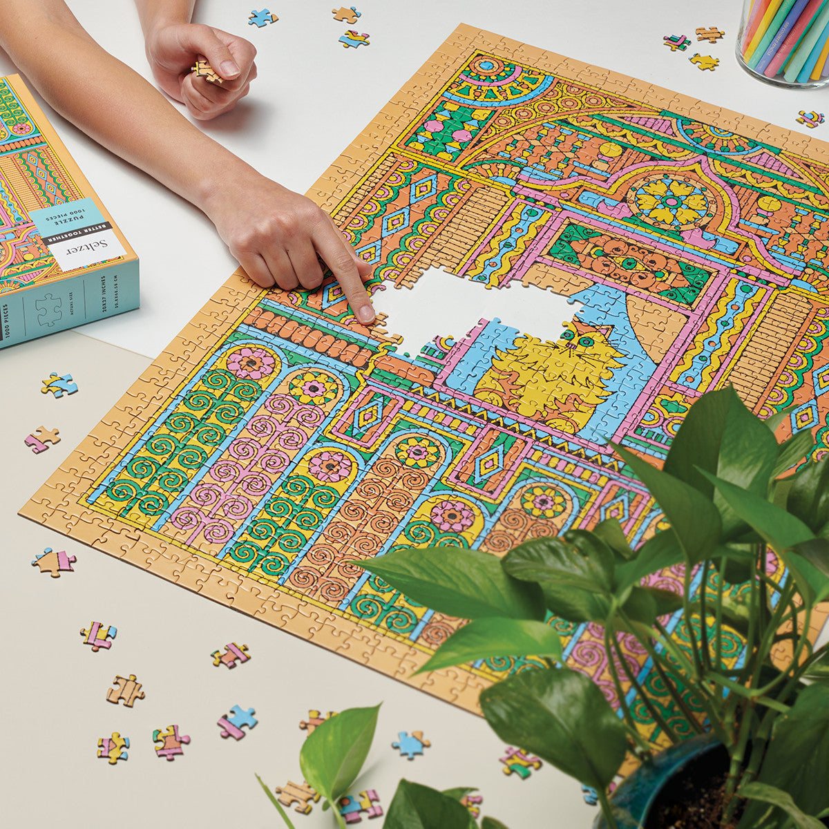Seltzer Goods House Cat Puzzle