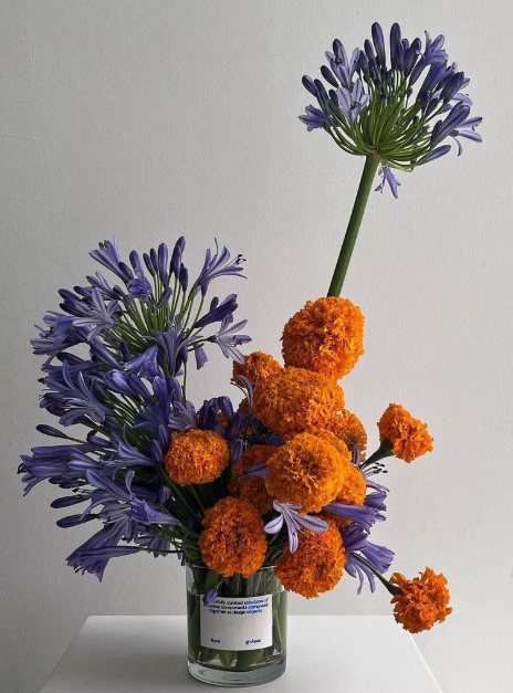 Golden Hour Blooms Floral Arranging Workshop 11.16.25