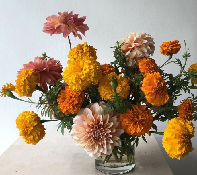 Golden Hour Blooms Floral Arranging Workshop 11.16.25