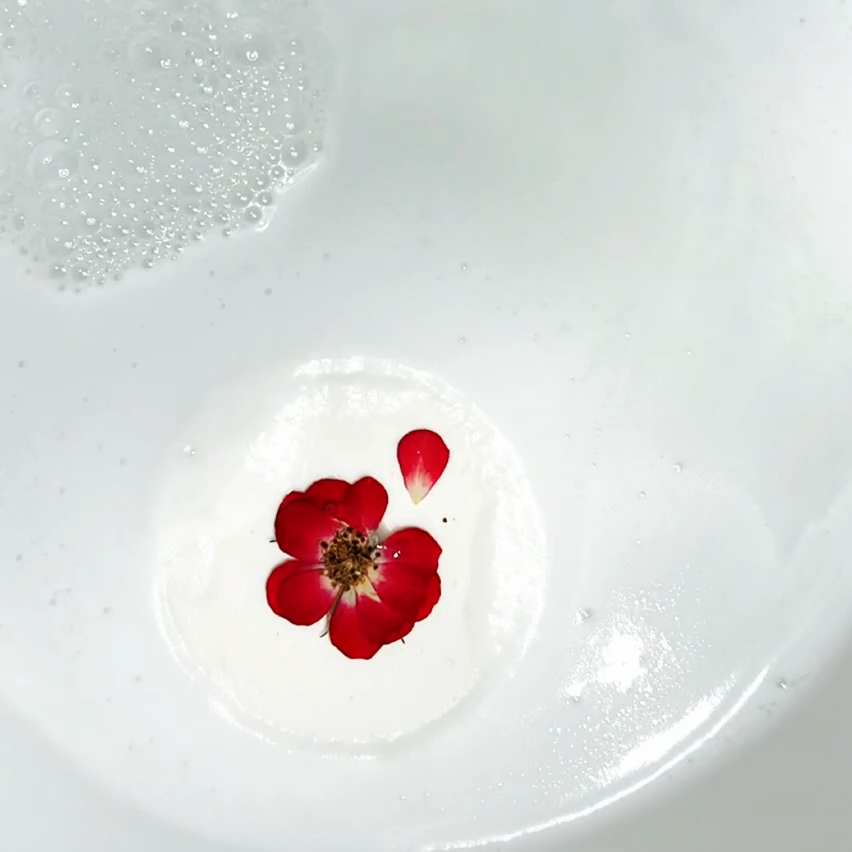 Sow the Magic Love Bird Wild Rose Shower Steamers
