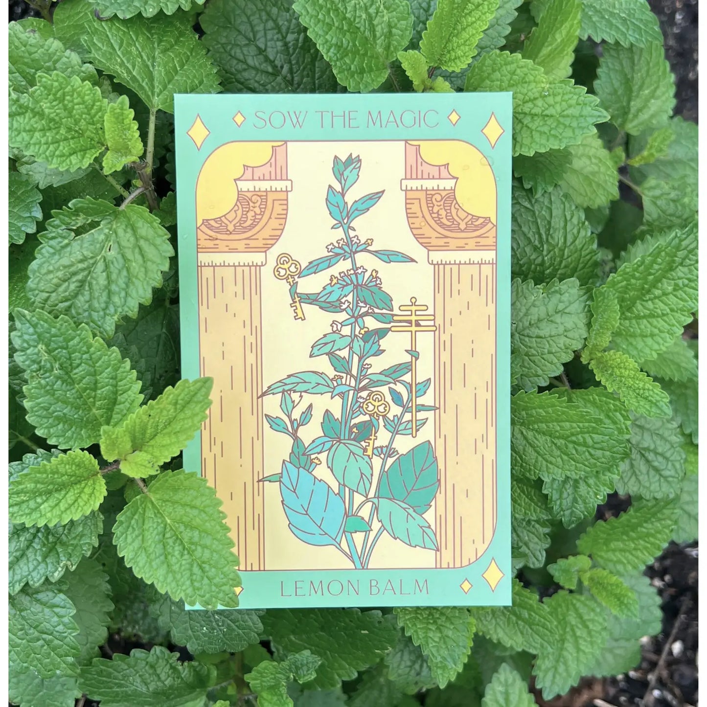 Sow the Magic Lemon Balm Tarot Seed Packet