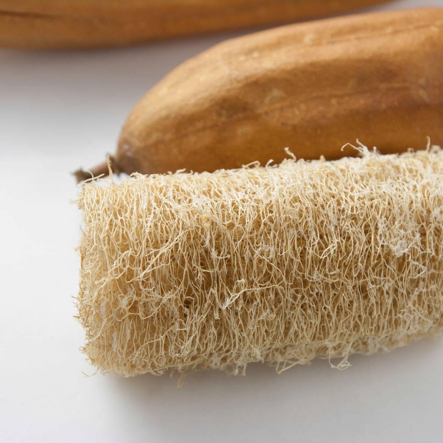 Sow the Magic Luffa Gourd Tarot Seed Packet