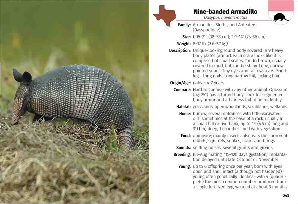 Mammals of Texas Field Guide