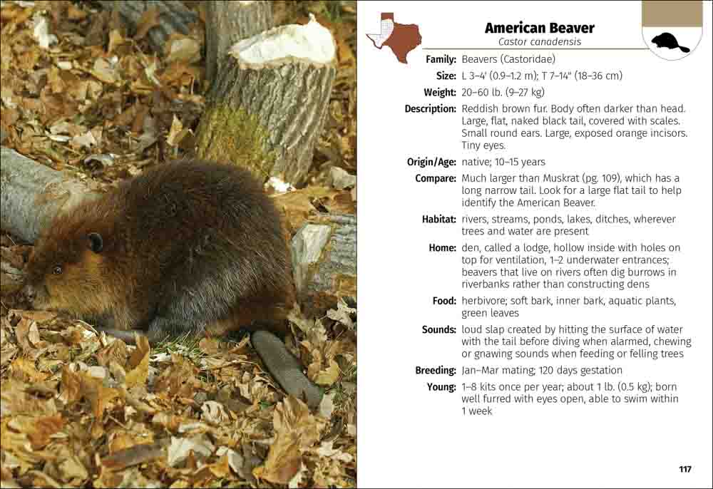 Mammals of Texas Field Guide