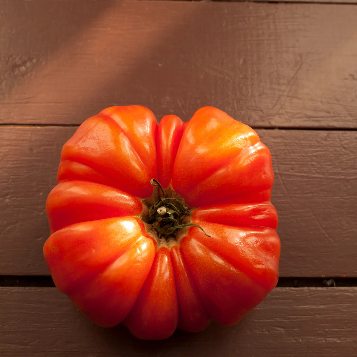 Sow the Magic Mushroom Basket Tomato Tarot Seed Packet