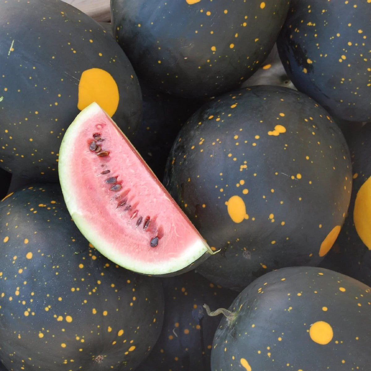 Sow the Magic Moon and Stars Watermelon Tarot Seed Packet