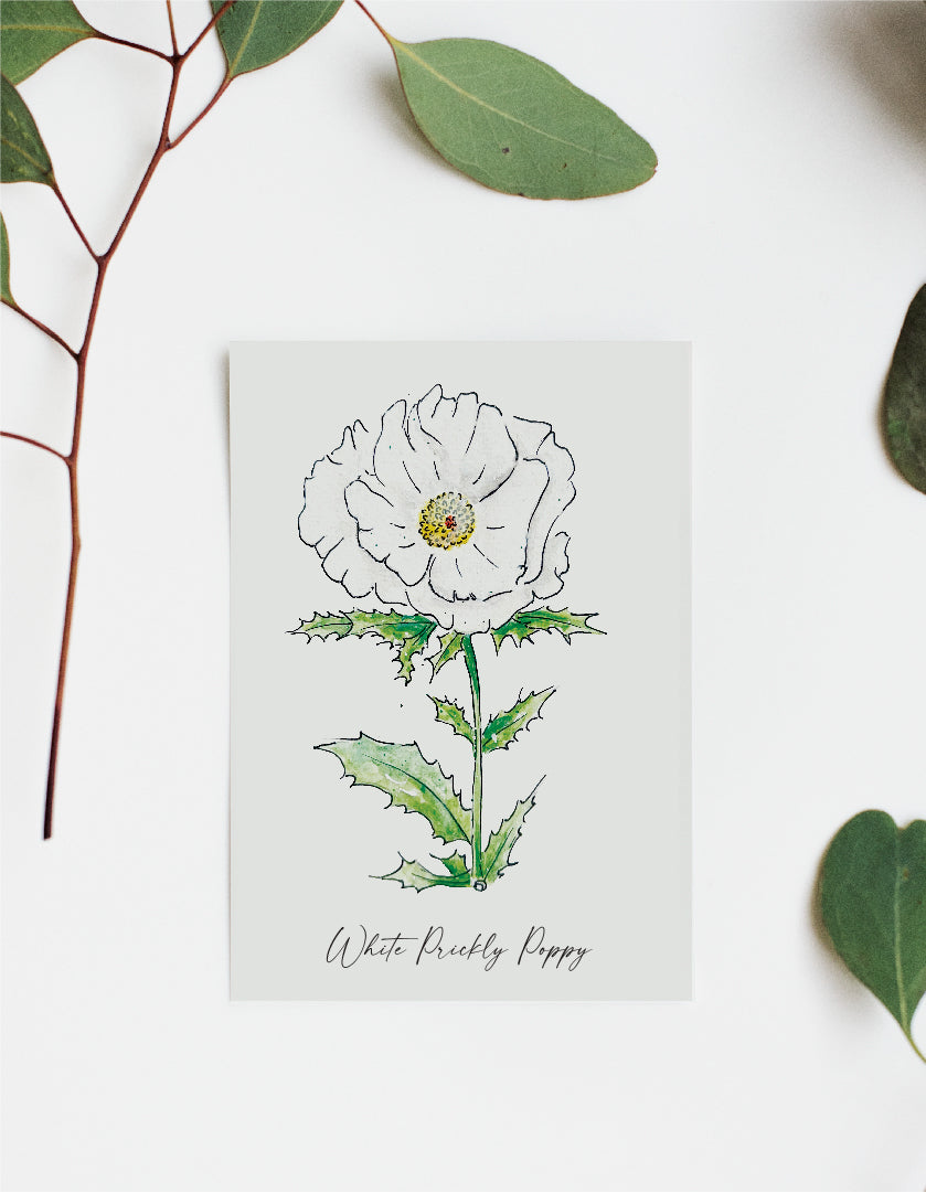 Where'd The Wild Things Go White Prickly Poppy Print