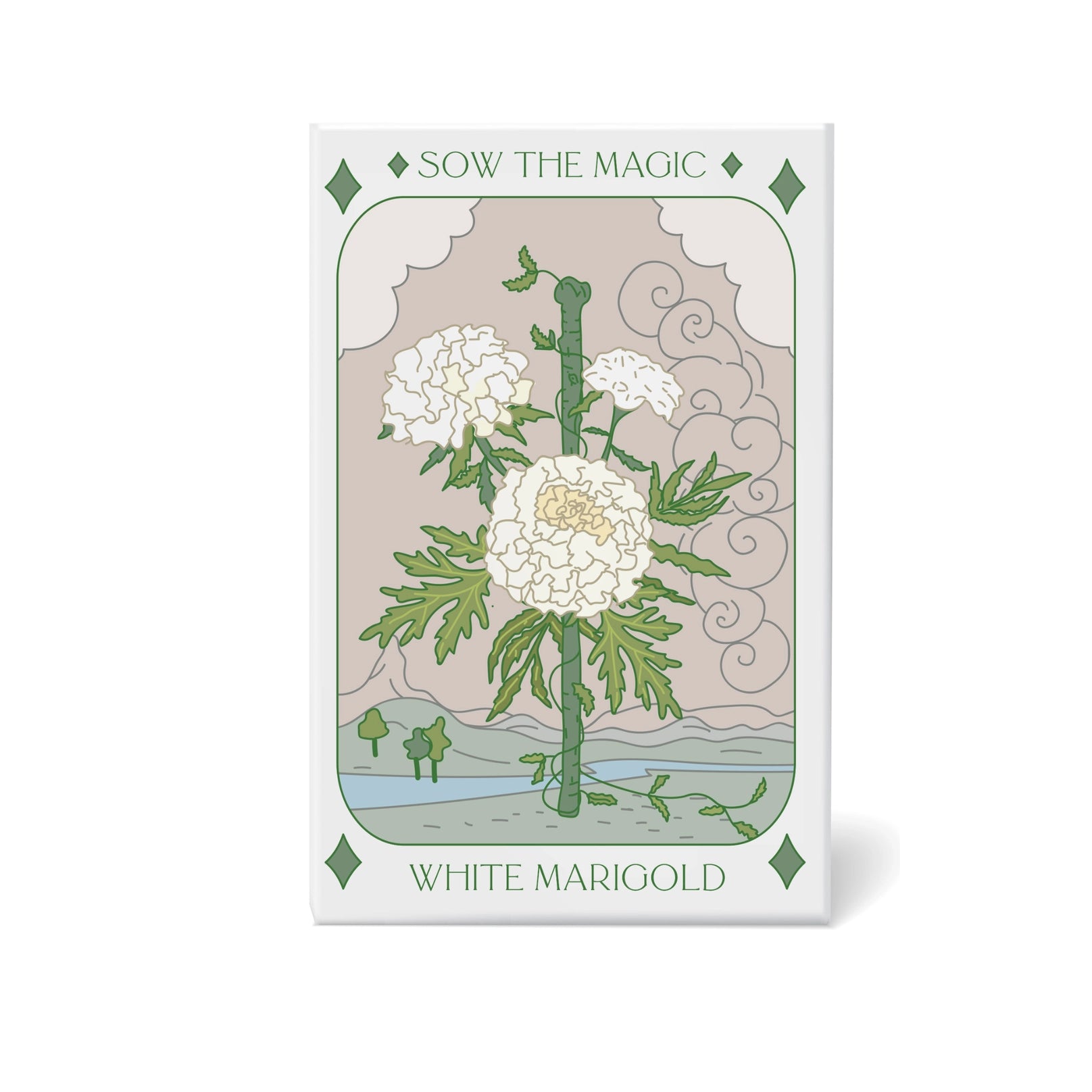 sow marigold seeds Sow the Magic White Marigold Tarot Seed Packet