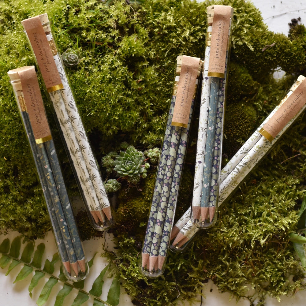 June December Fluttery Mix Terrarium Pencils