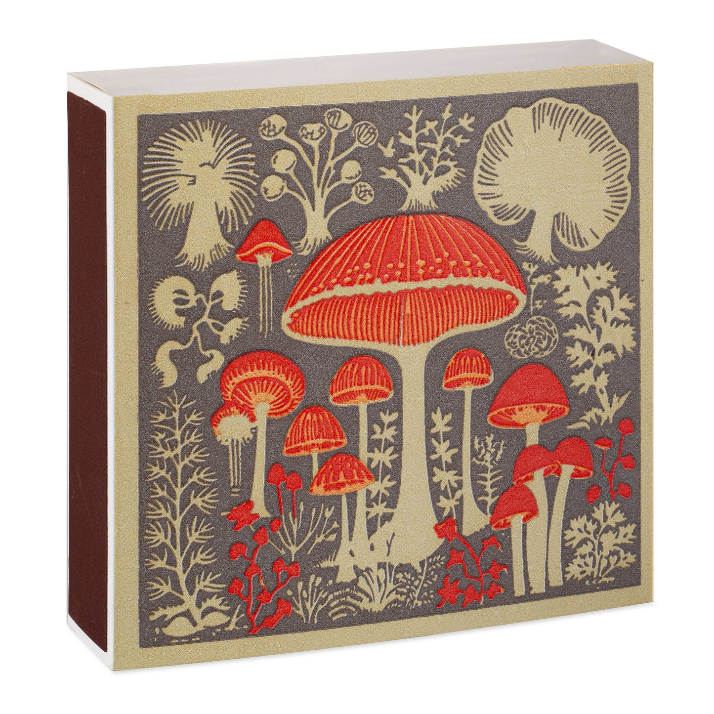 Archivist Gallery Square Matches : Mushrooms