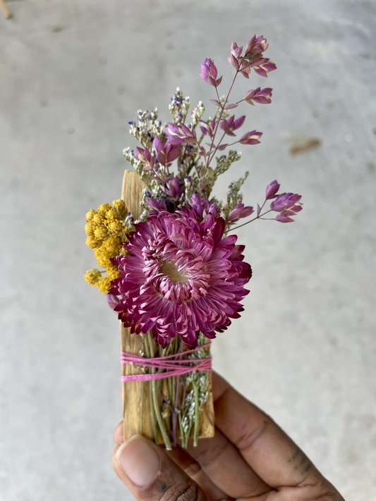 Cosmic Provisions Co. Bundles