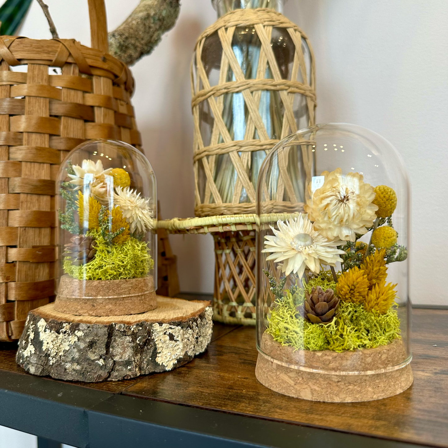 CA Studios Large Botanical Glass Terrarium - Honeyglow