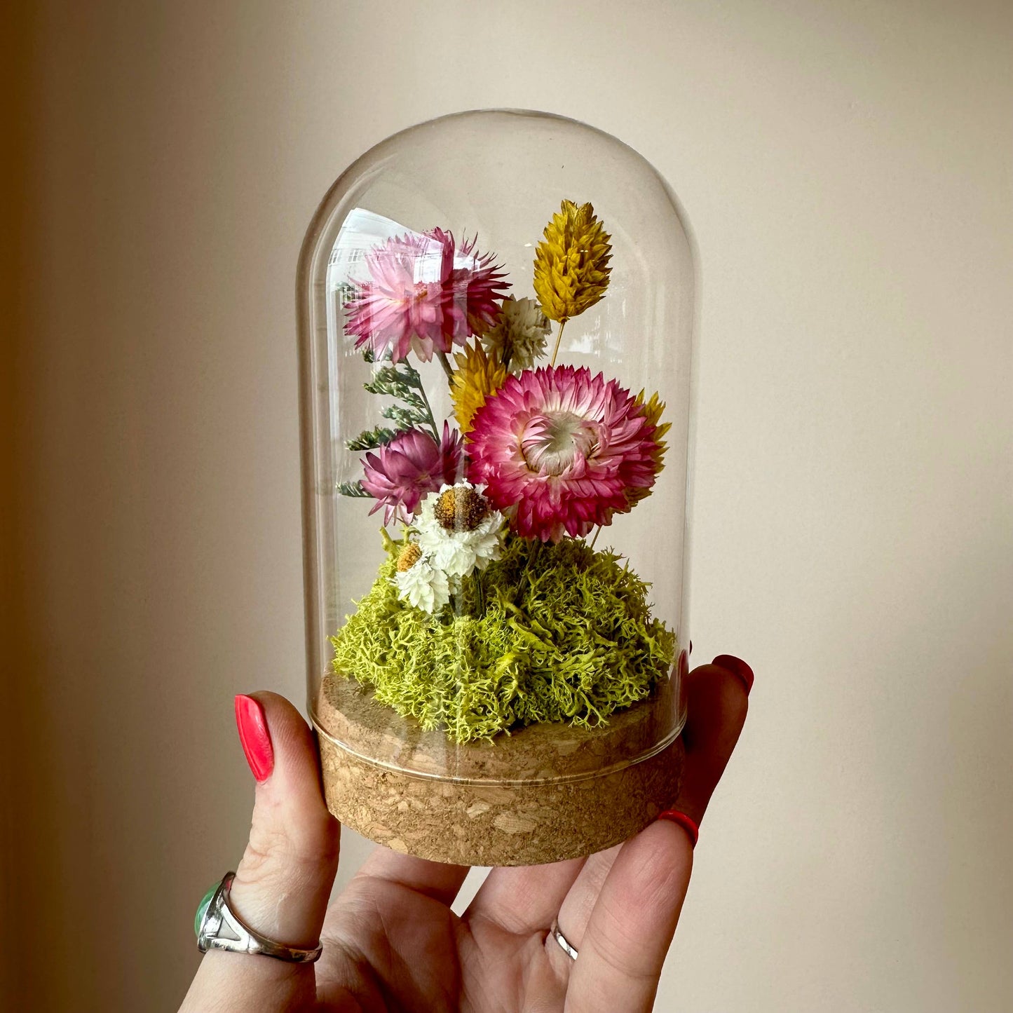 CA Studios Large Botanical Glass Terrarium - Sunblush