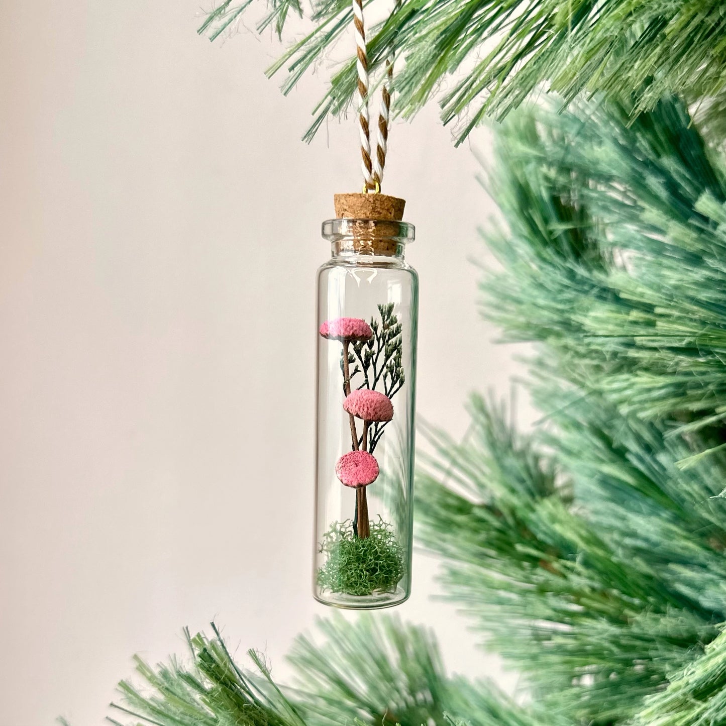 CA Studios Mushroom Terrarium Ornament Cork Jar