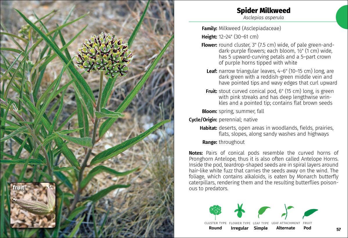 Wildflowers of Texas Field Guide