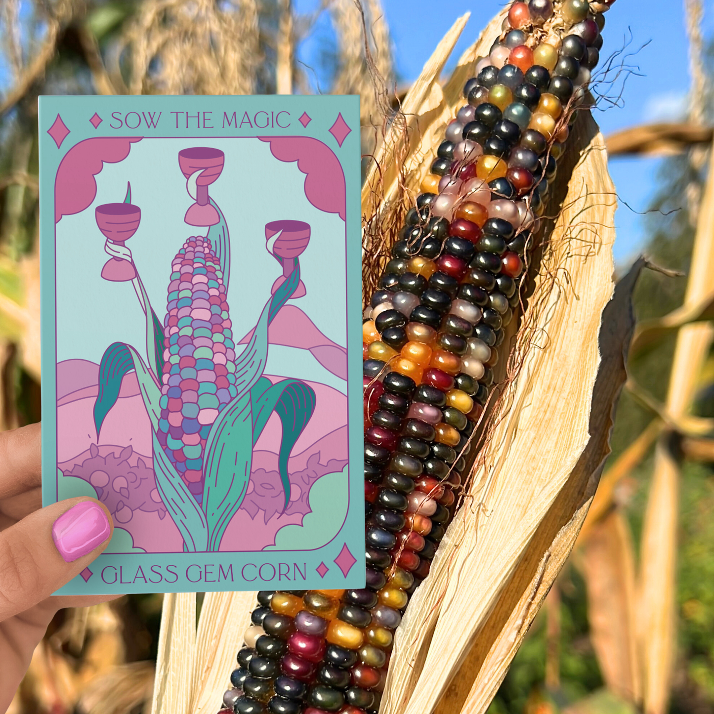 Sow the Magic Glass Gem Corn Tarot Seed Packet