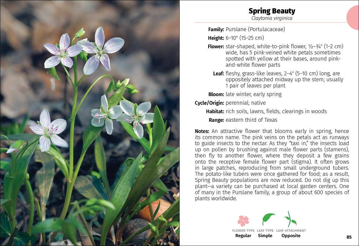 Wildflowers of Texas Field Guide