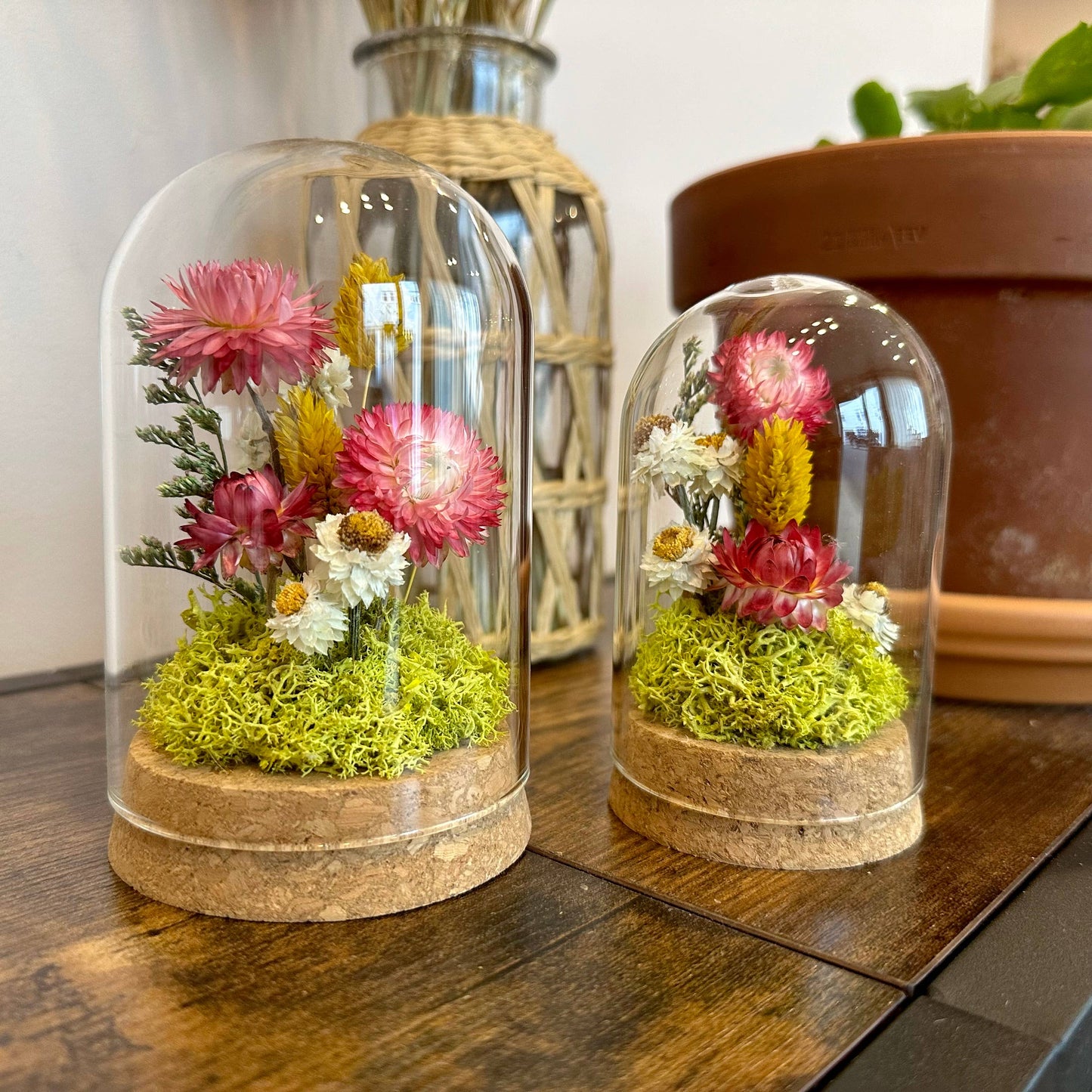 CA Studios Large Botanical Glass Terrarium - Sunblush