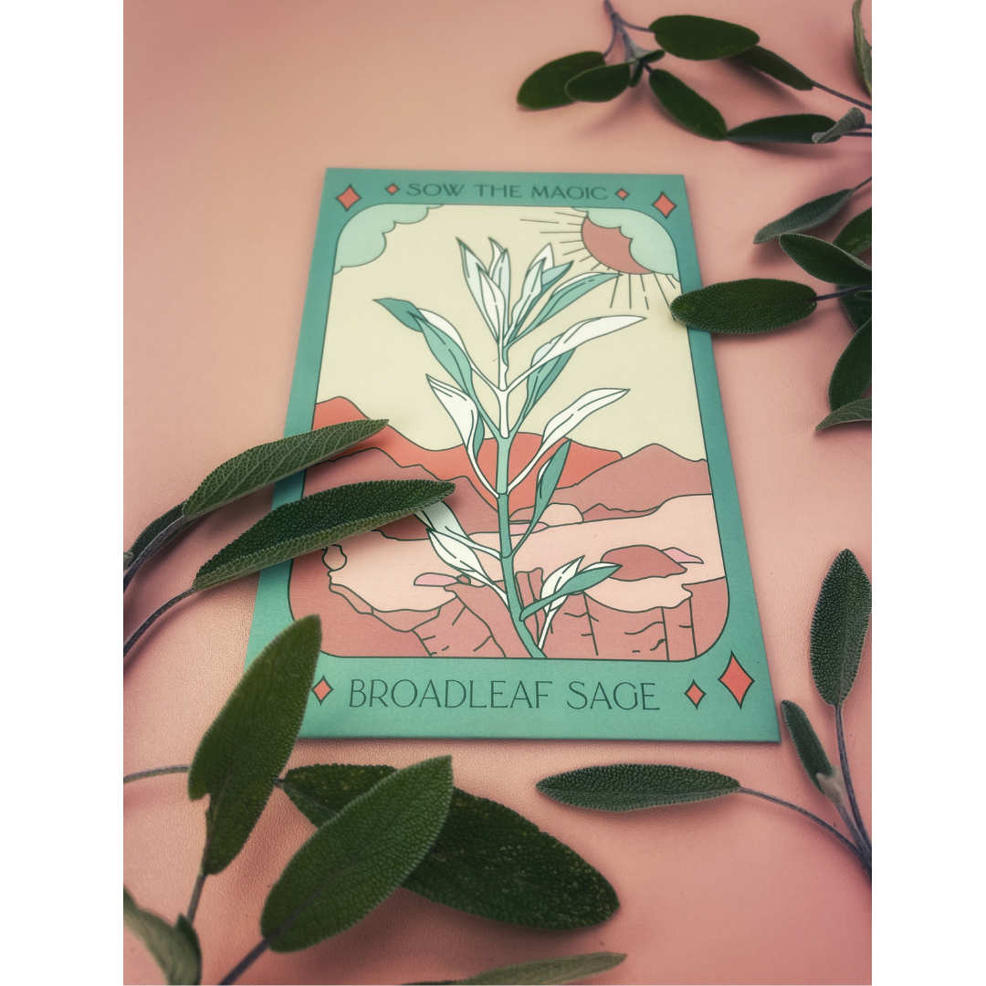 Sow the Magic Broadleaf Sage Tarot Seed Packet