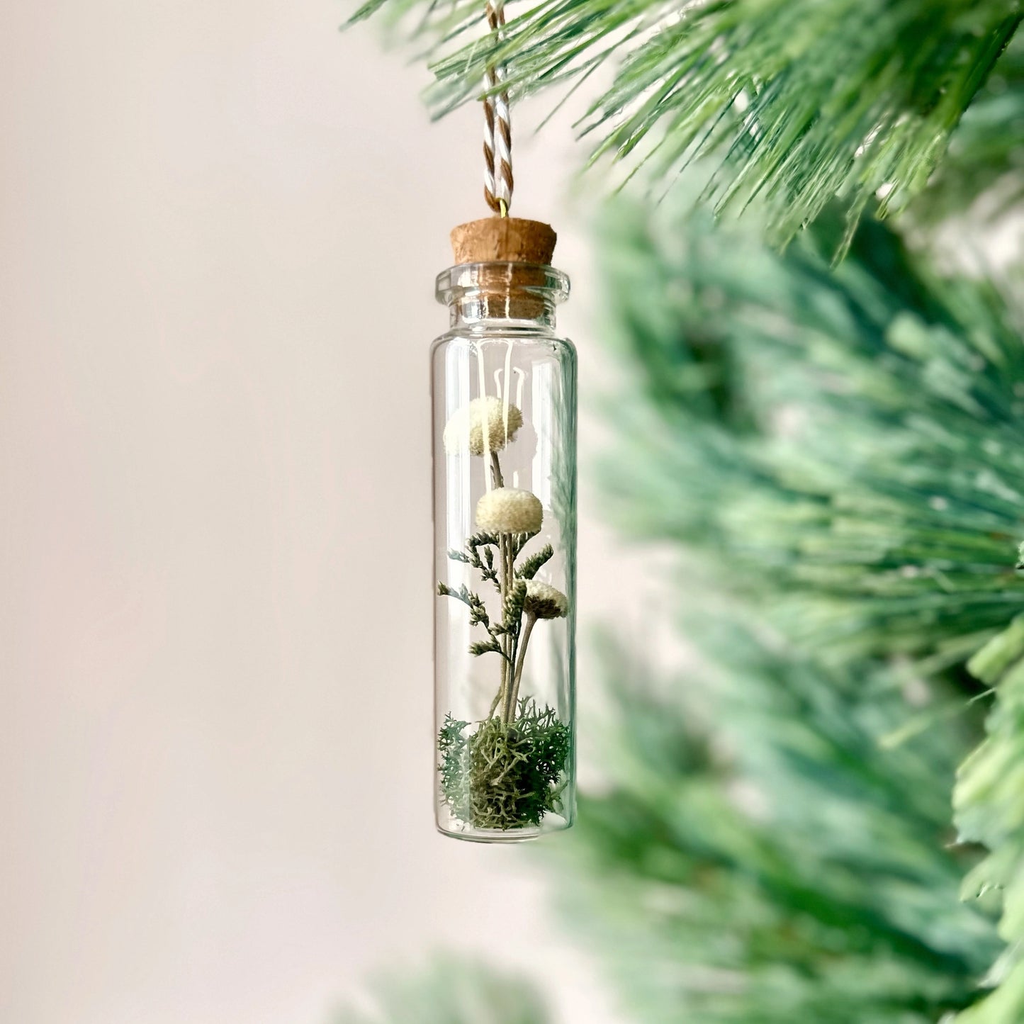 CA Studios Mushroom Terrarium Ornament Cork Jar