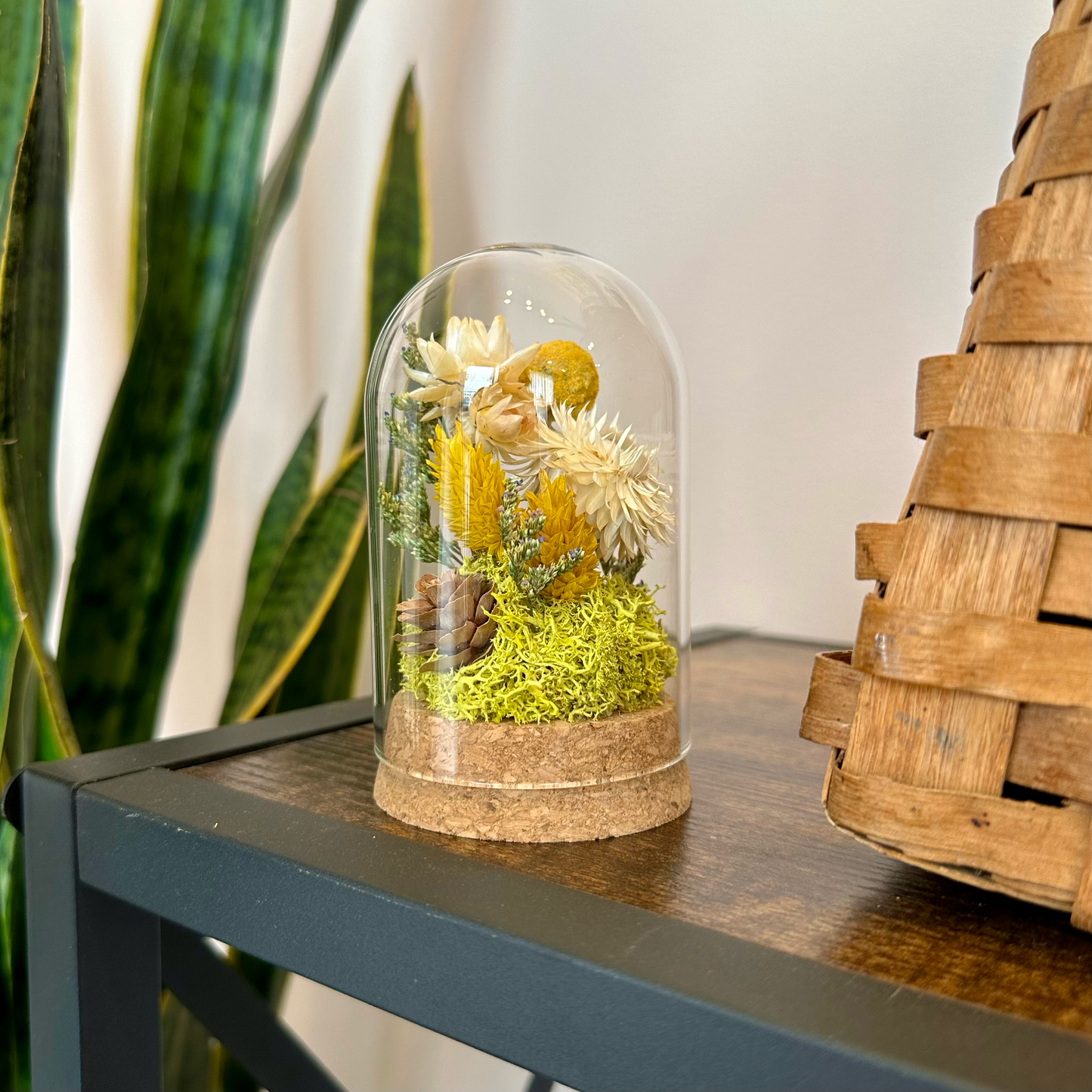 CA Studios Large Botanical Glass Terrarium - Honeyglow