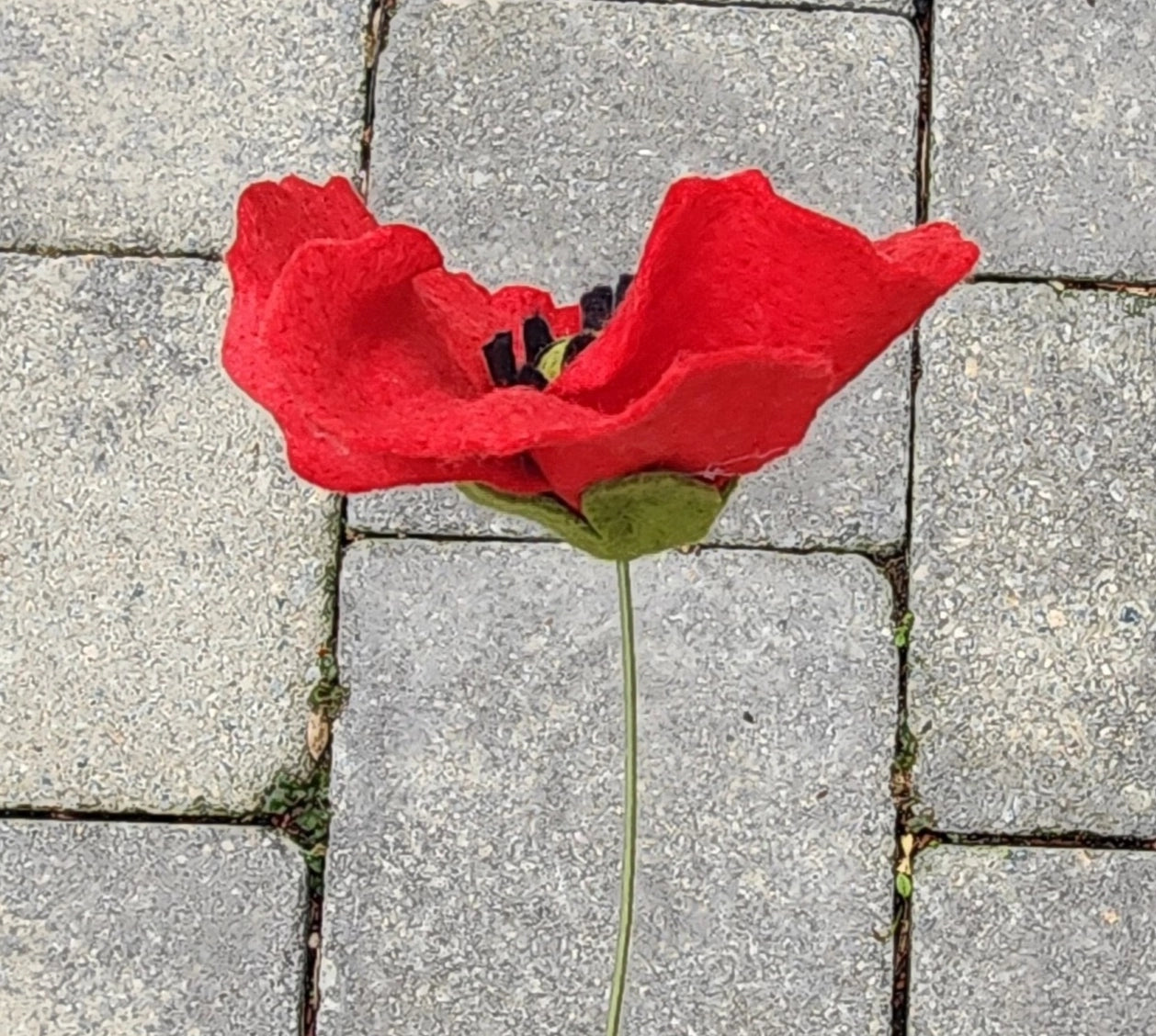 Madymae Felt Florals Felt Poppy