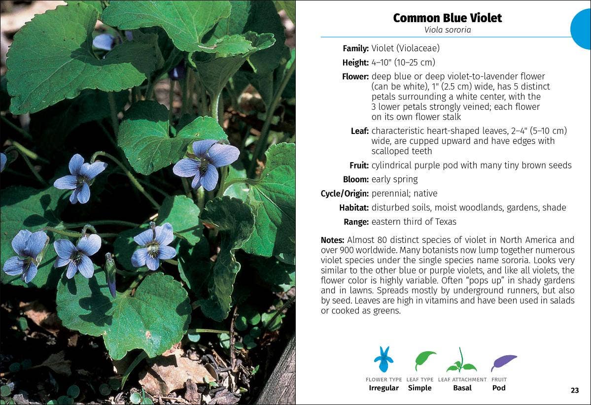 Wildflowers of Texas Field Guide
