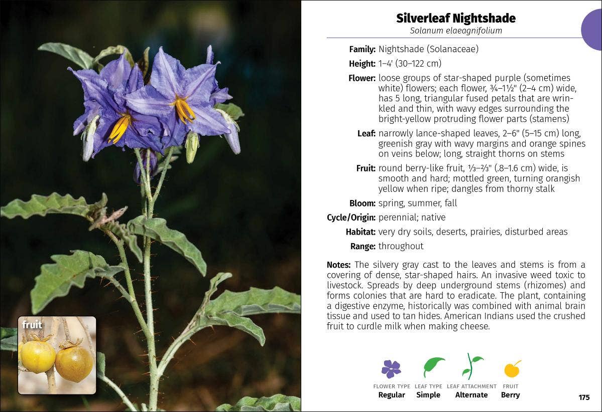 Wildflowers of Texas Field Guide