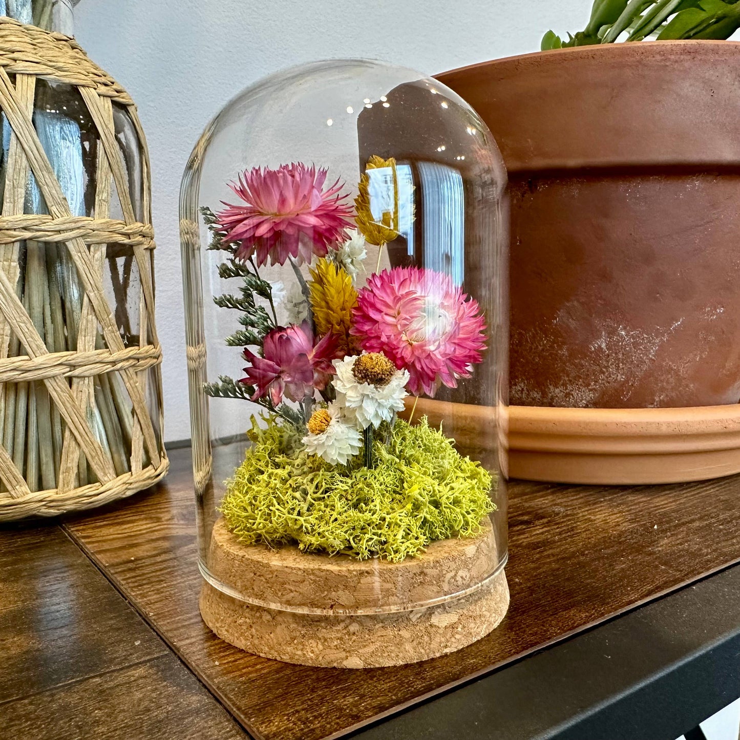 CA Studios Large Botanical Glass Terrarium - Sunblush